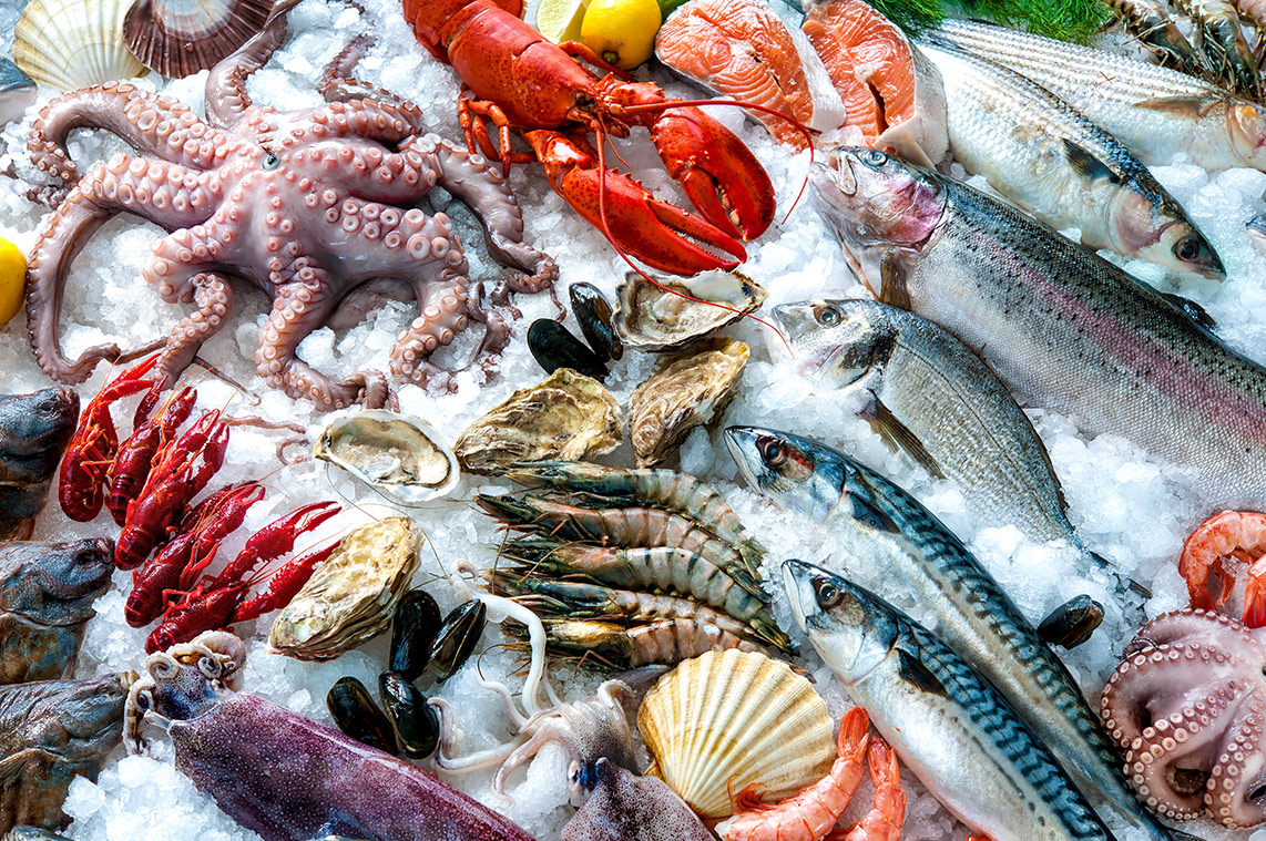 Fuseta ist berühmt für seine große Auswahl an Fisch